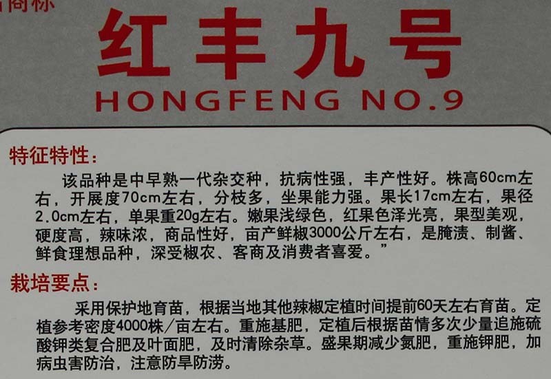 8ź.JPG