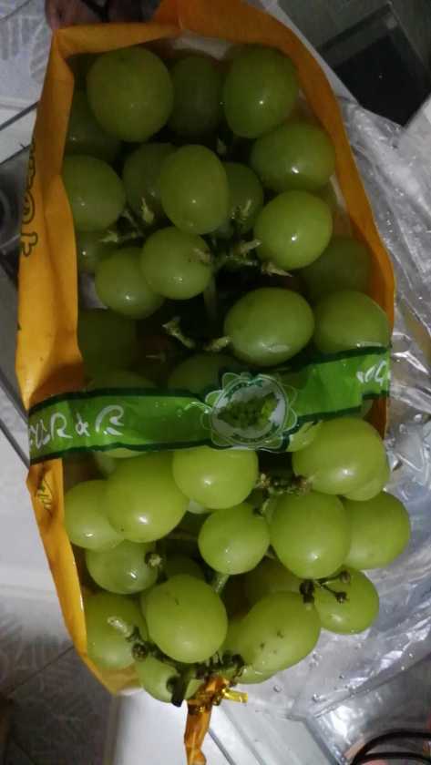 IMG_20190905_210850.jpg