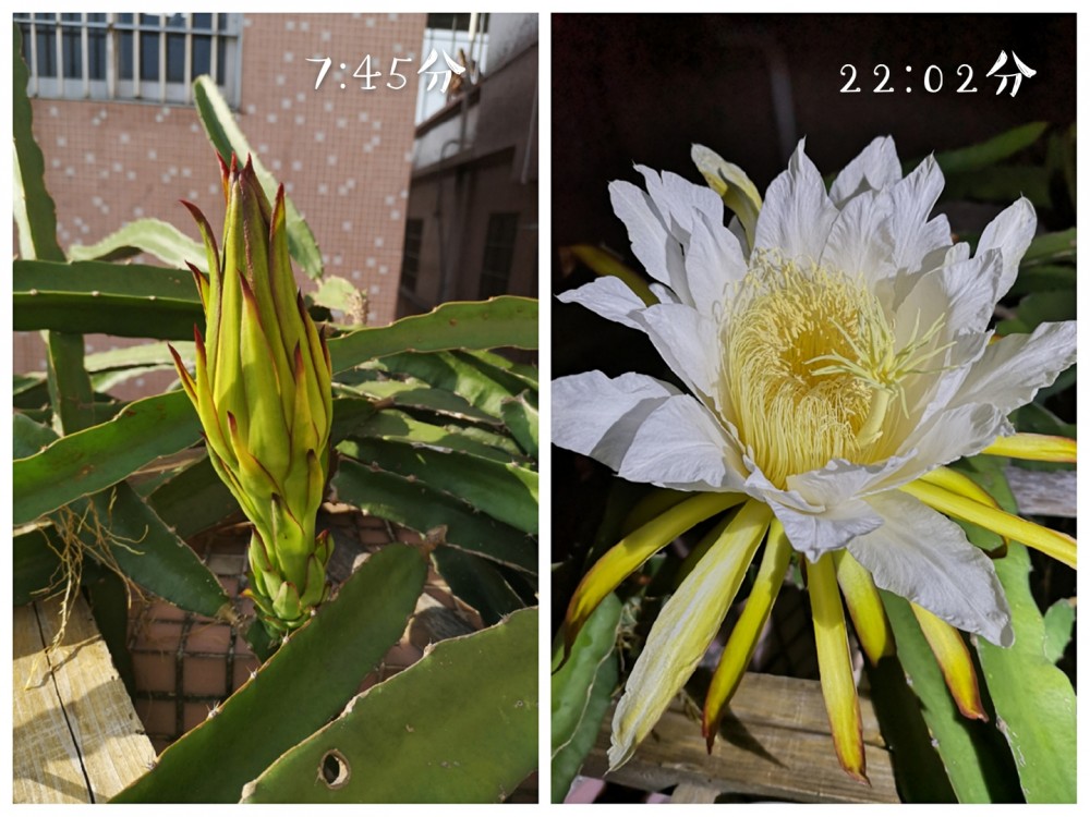 pt2019_09_05_22_16_54_mh1567693250392.jpg