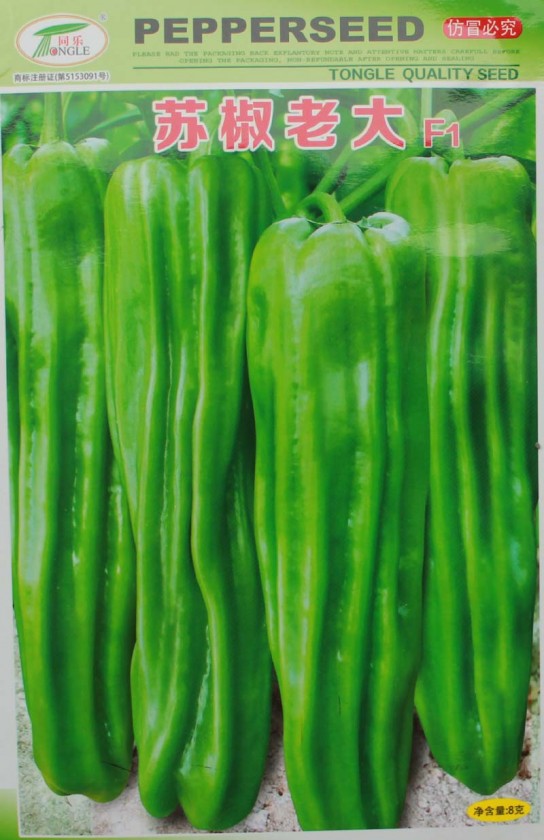 1սϴװ.JPG