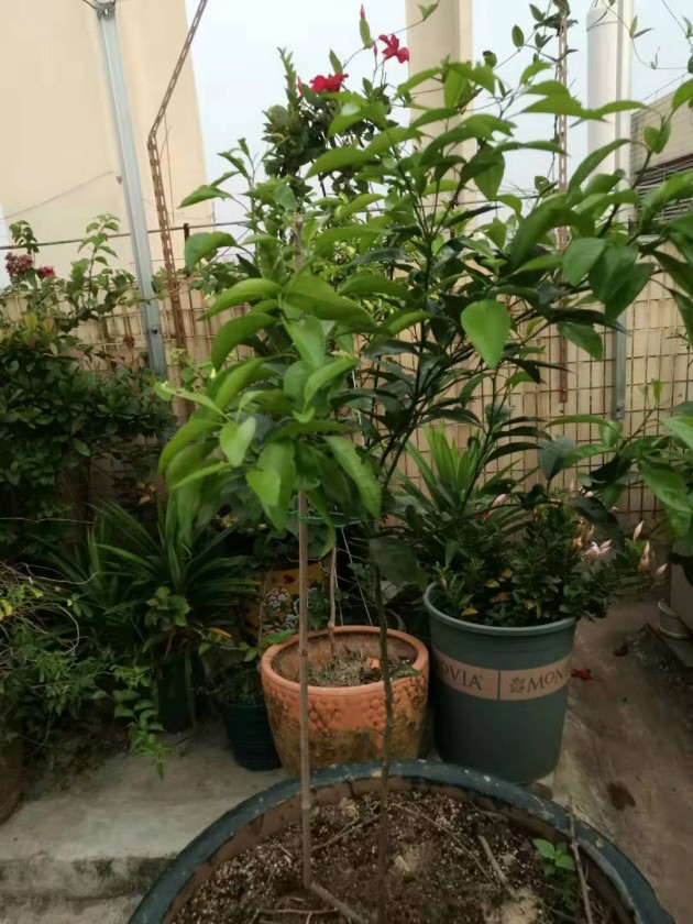 ΢ͼƬ_20190717142143.jpg