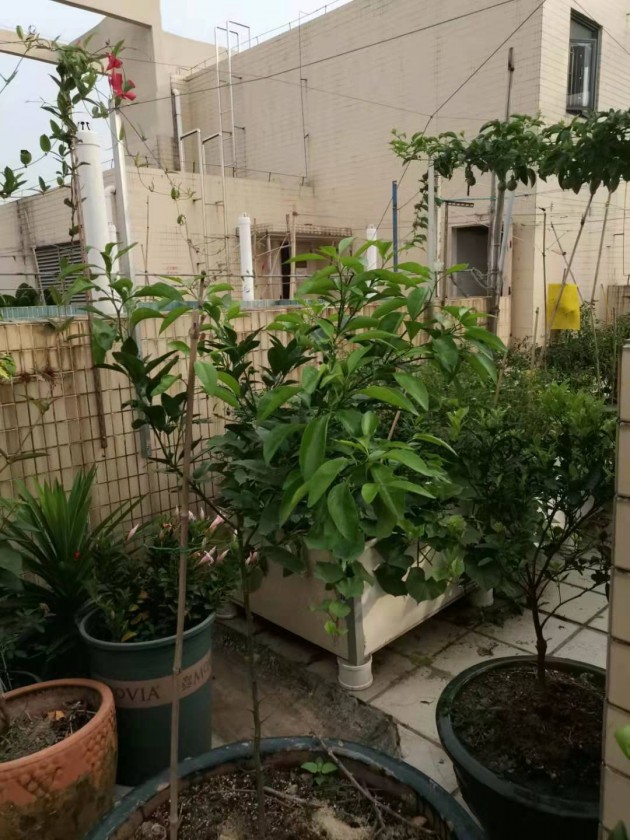 ΢ͼƬ_20190717142147.jpg