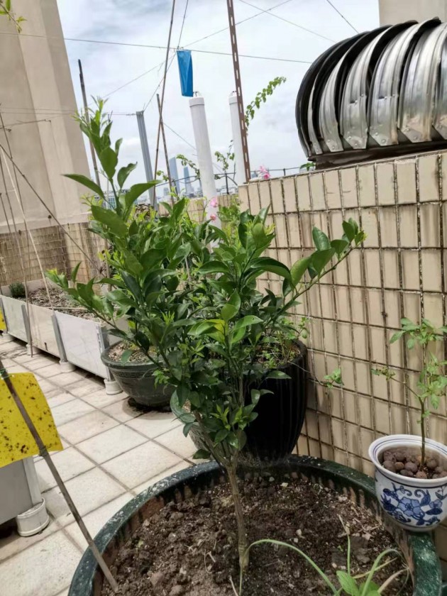 ΢ͼƬ_20190805095230.jpg