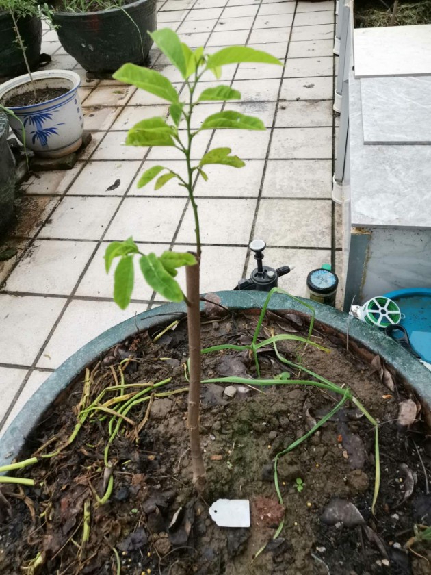 ΢ͼƬ_20190611101452.jpg