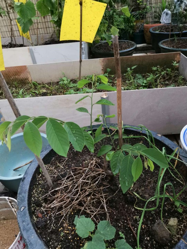 ΢ͼƬ_20190611101459.jpg