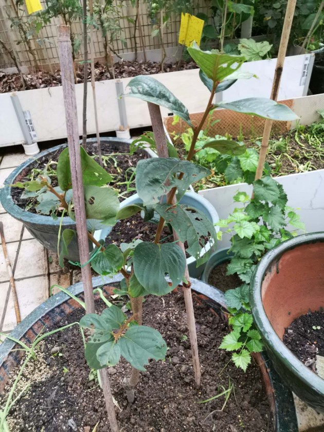 ΢ͼƬ_20190611101939.jpg