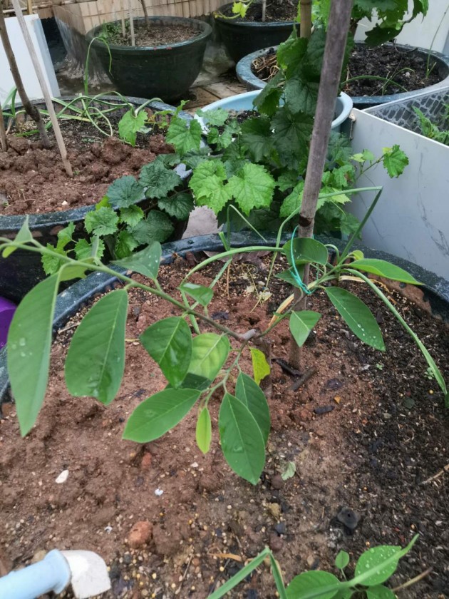 ΢ͼƬ_20190611101504.jpg
