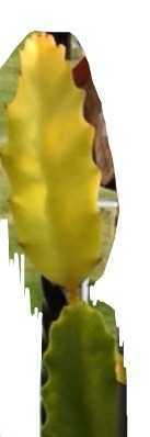 IMG_20190910_172237.jpg