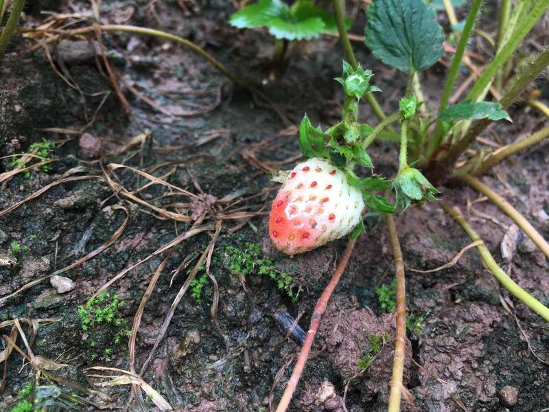 ΢��ͼƬ_20190911093253.jpg