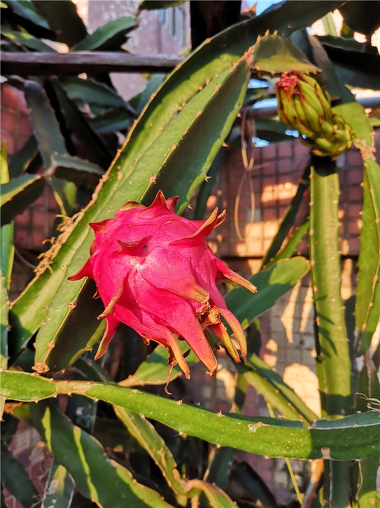IMG_20190910_065536.jpg