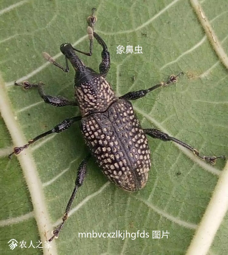 ɣţ2.jpg