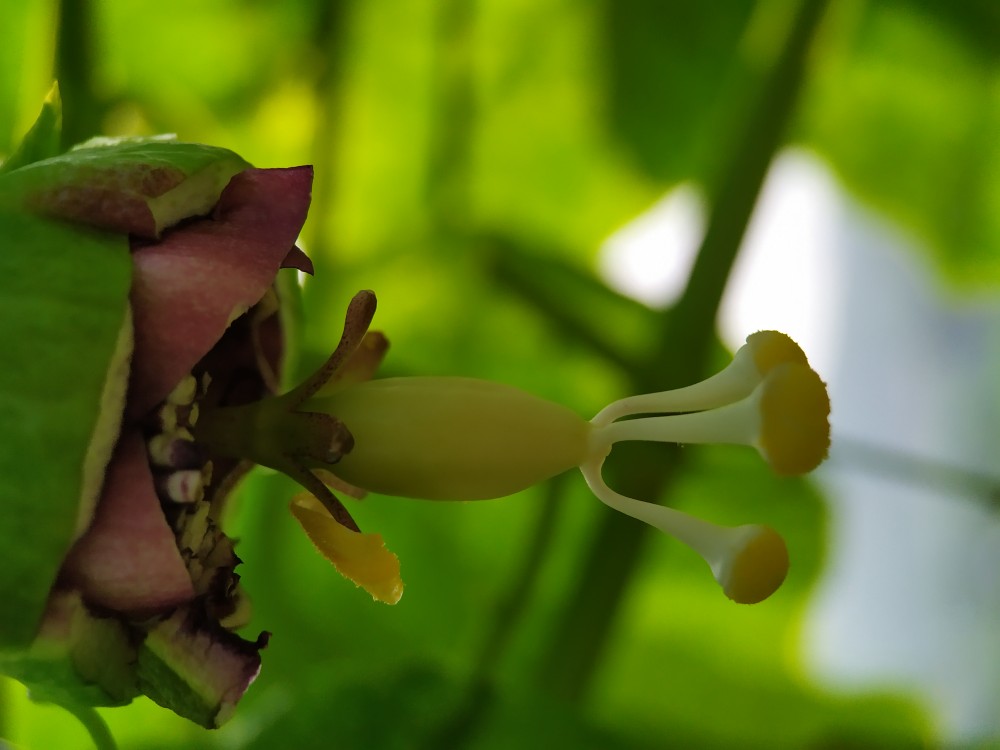 IMG_20190824_ڶ9״̬.jpg