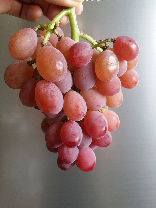 20190909_081046.jpg