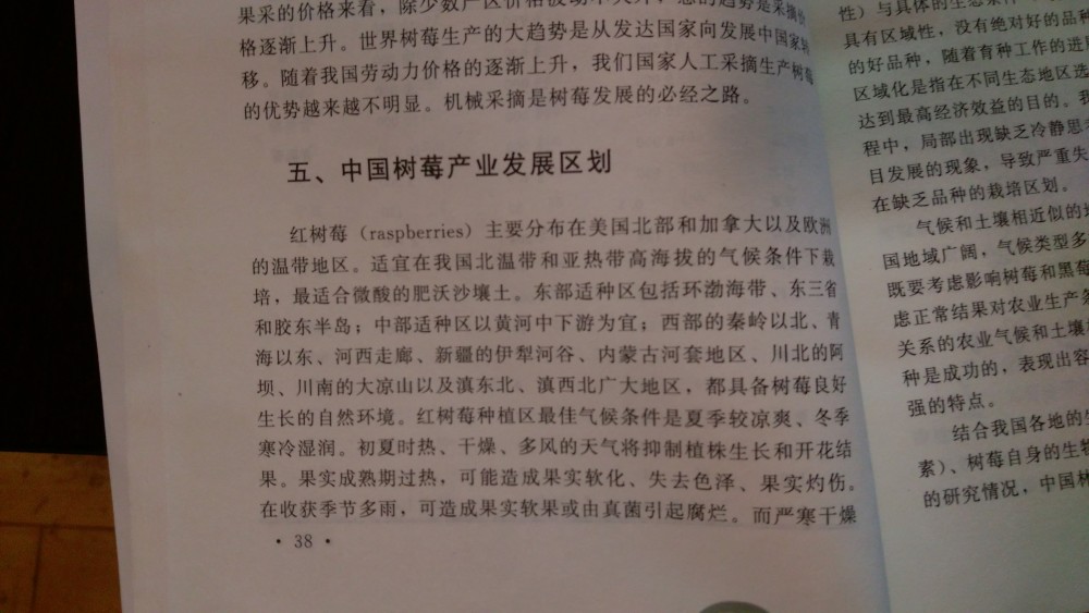 IMAG1029.jpg