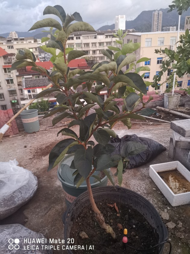 ΢ͼƬ_20190917143450.jpg