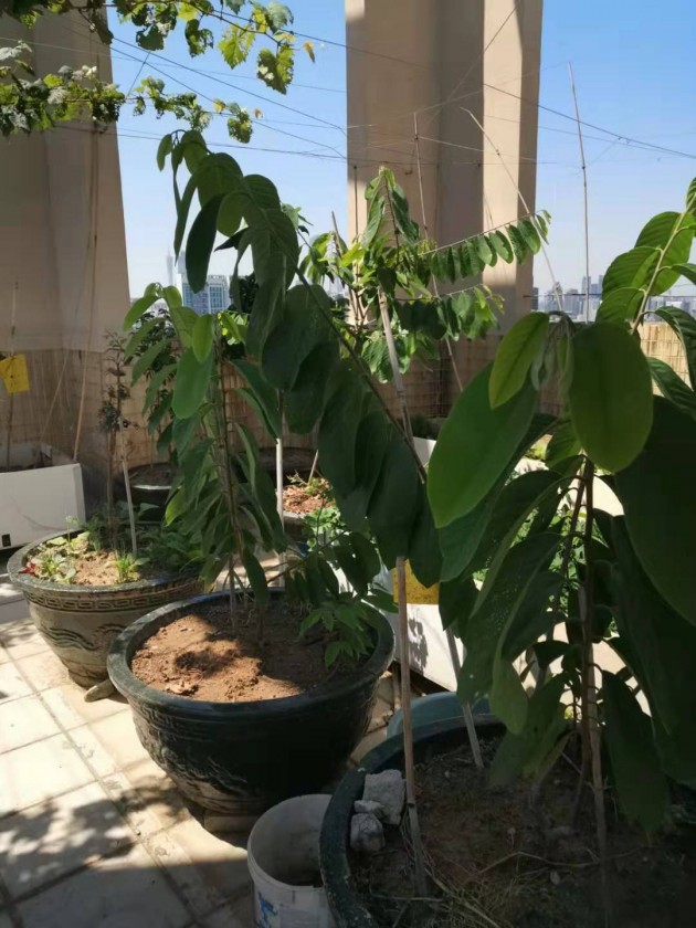 ΢ͼƬ_20190923110133.jpg