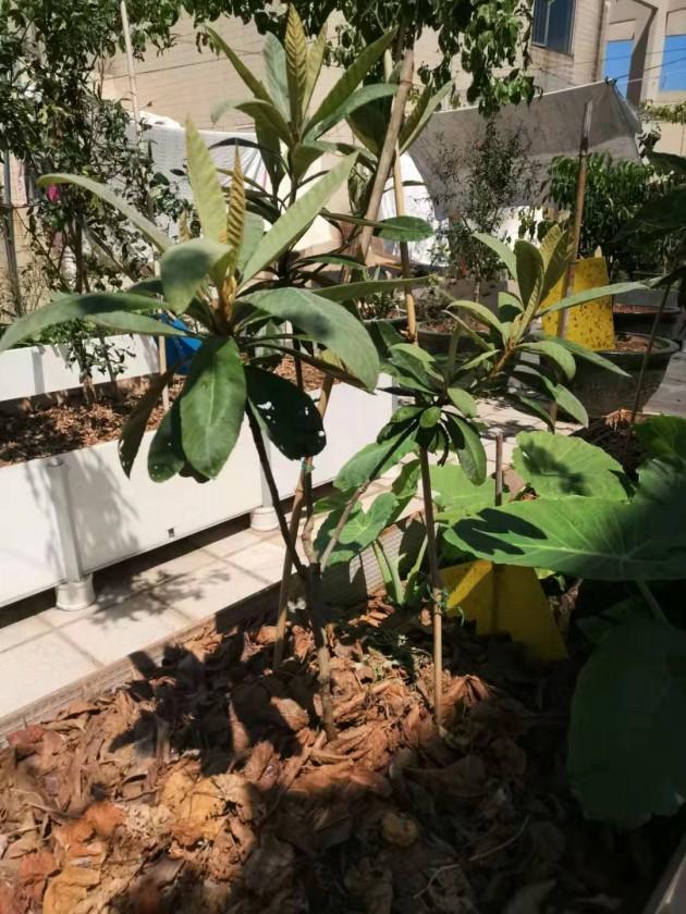 ΢��ͼƬ_20190923110153.jpg