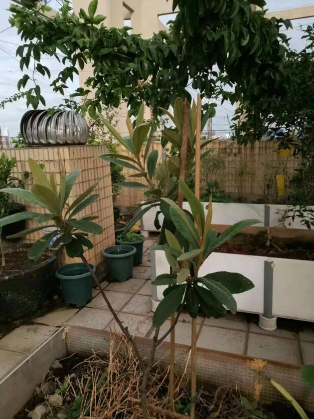 ΢��ͼƬ_20190902094648.jpg