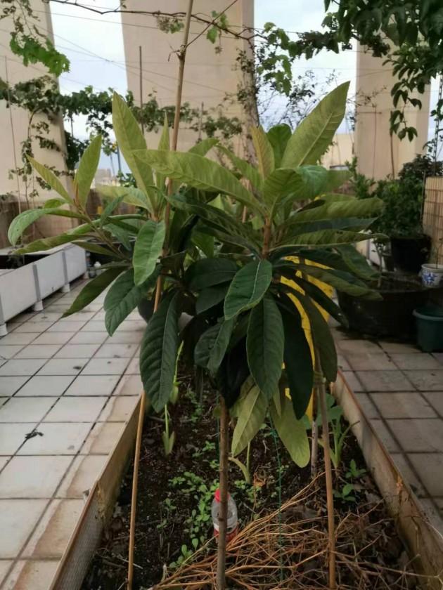 ΢��ͼƬ_20190902094712.jpg