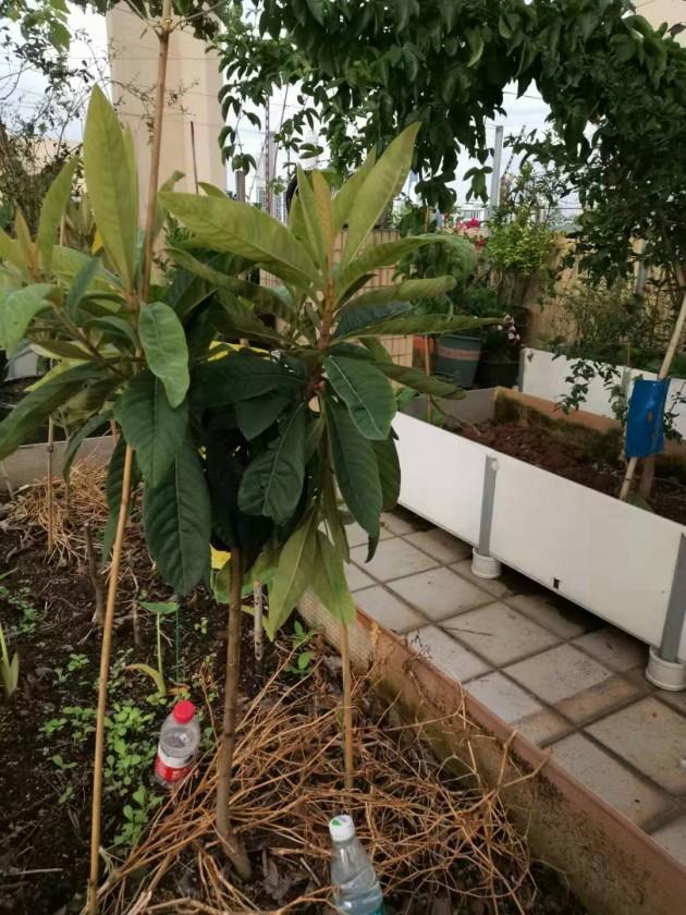 ΢��ͼƬ_20190902094815.jpg