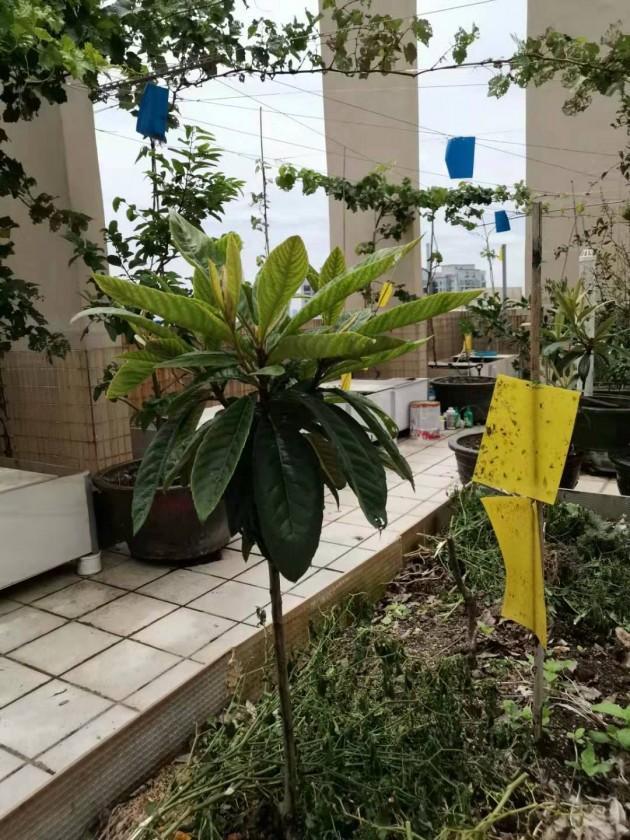 ΢��ͼƬ_20190805095221.jpg