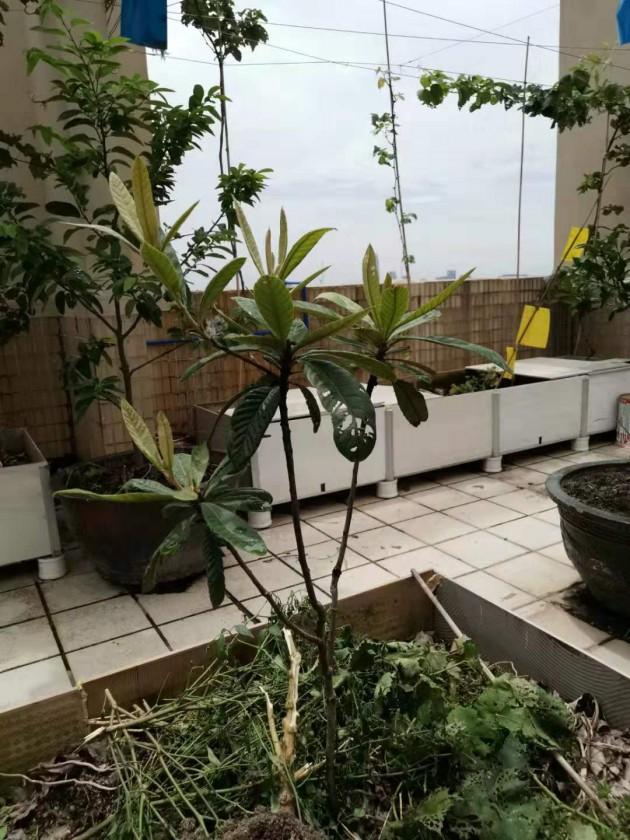 ΢��ͼƬ_20190805095226.jpg