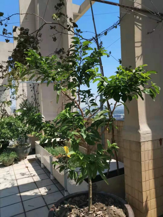 ΢ͼƬ_20190924144253.jpg