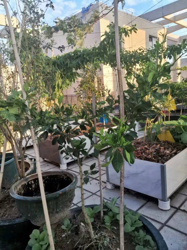 ΢ͼƬ_20190924144402.jpg