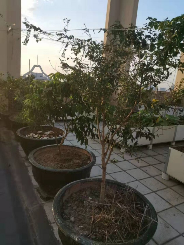 ΢ͼƬ_20190924144437.jpg