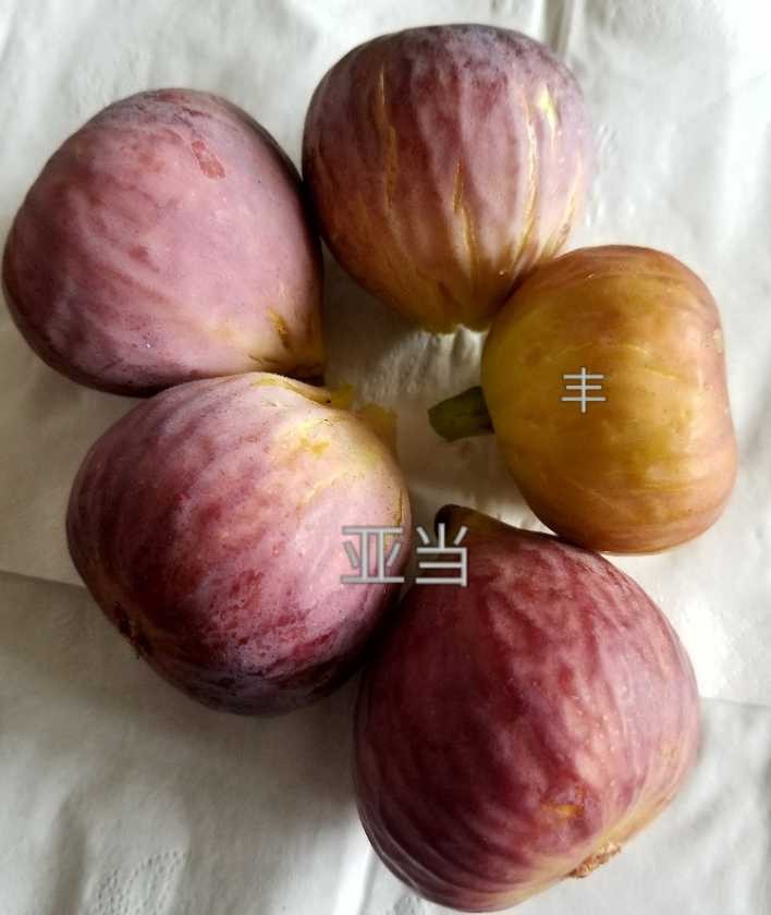 141854kfycjfff5yucwzcc.jpg