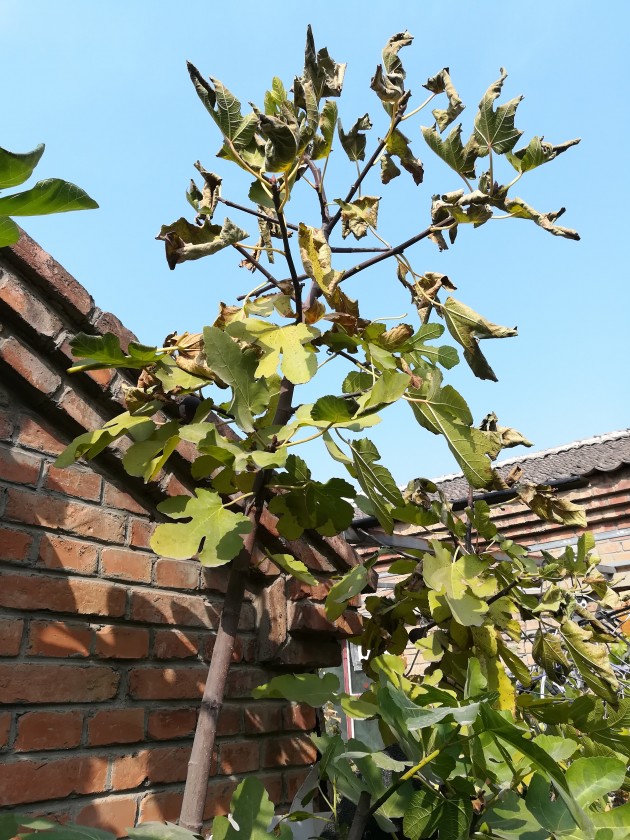 IMG_20181020_104347.jpg