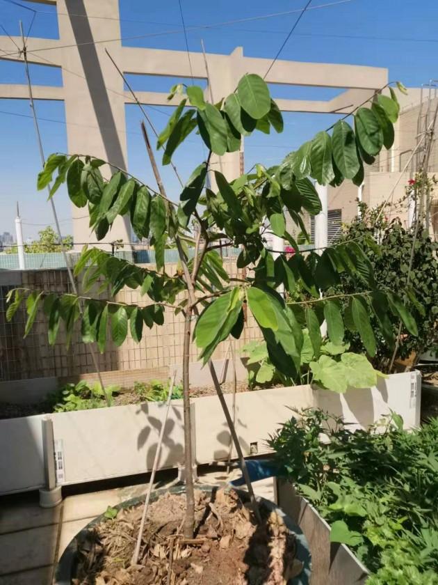 ΢��ͼƬ_20190924144213.jpg