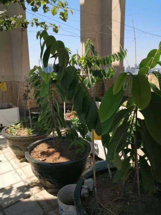 ΢��ͼƬ_20190924144229.jpg