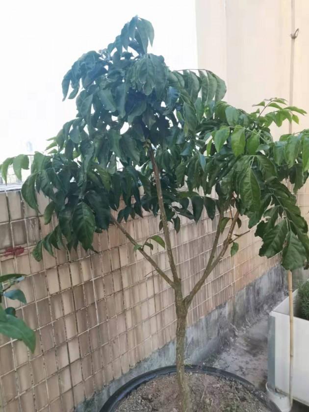 ΢��ͼƬ_20190924144301.jpg
