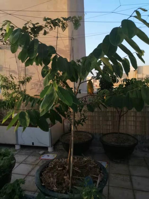 ΢��ͼƬ_20190924144321.jpg