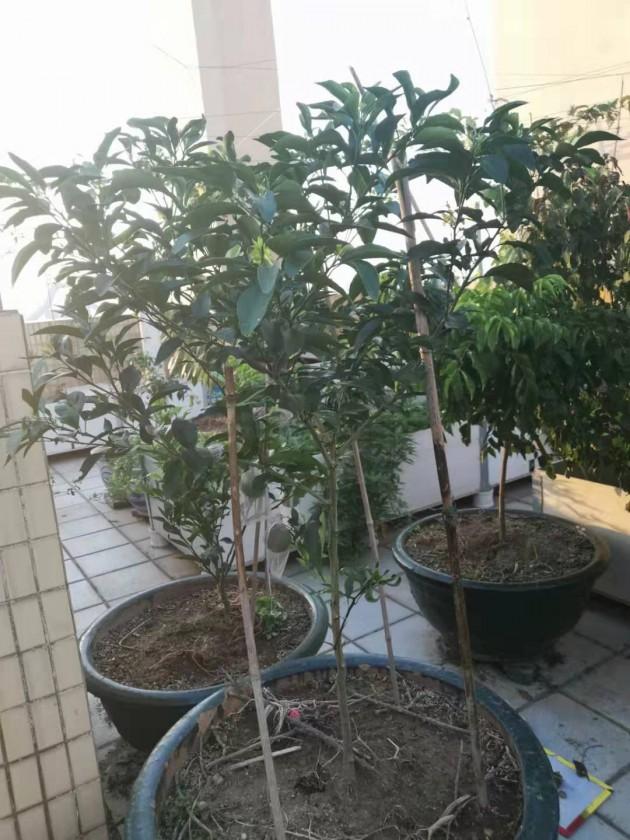 ΢��ͼƬ_20190924144331.jpg