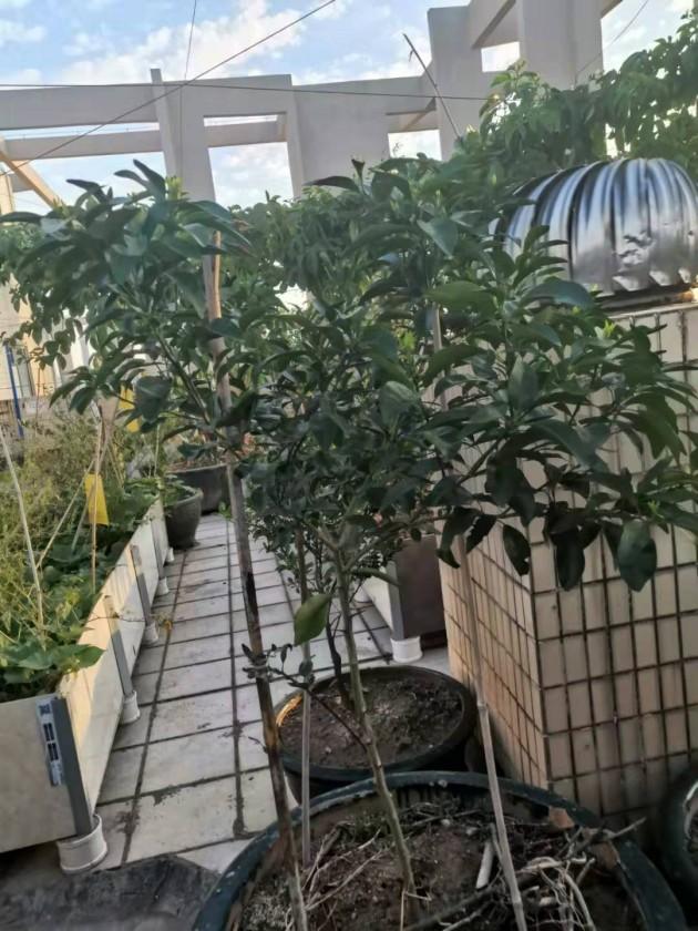 ΢��ͼƬ_20190924144345.jpg