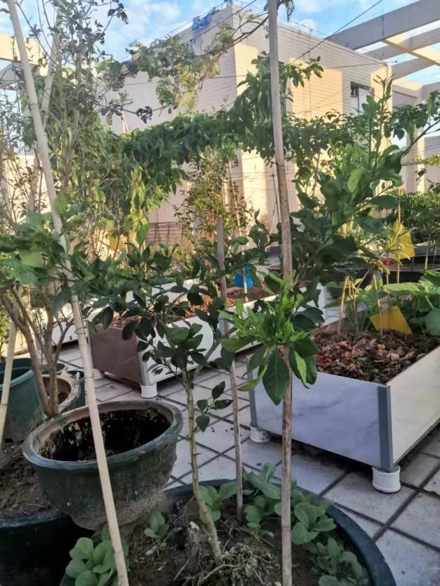 ΢��ͼƬ_20190924144402.jpg