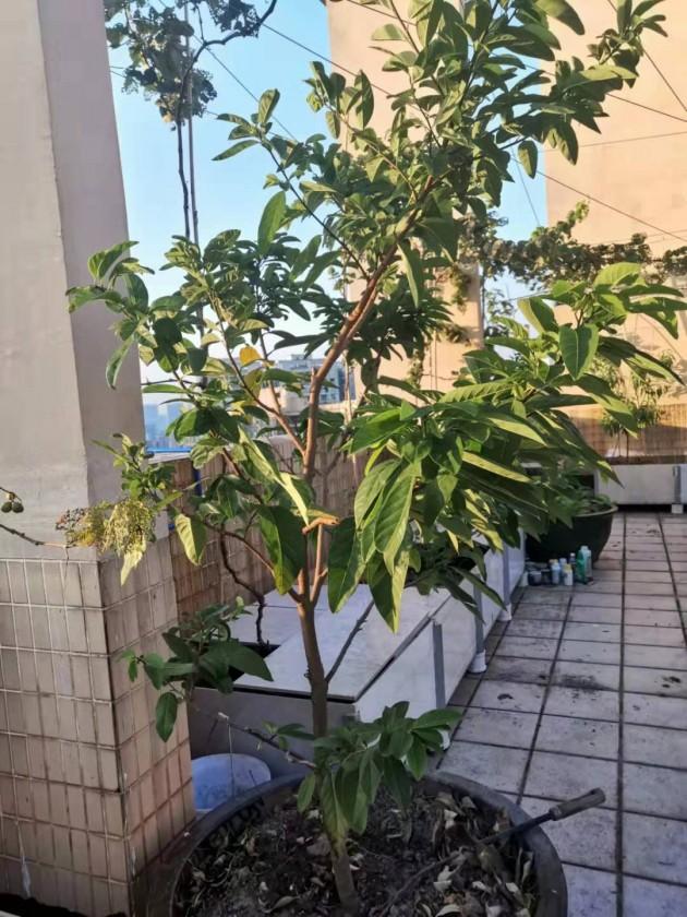 ΢��ͼƬ_20190924144414.jpg