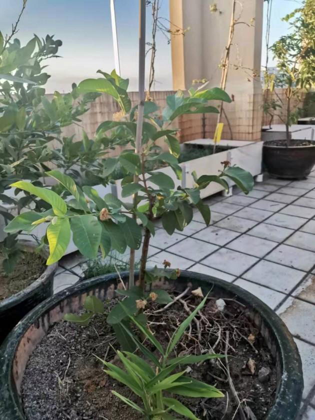 ΢��ͼƬ_20190924144421.jpg