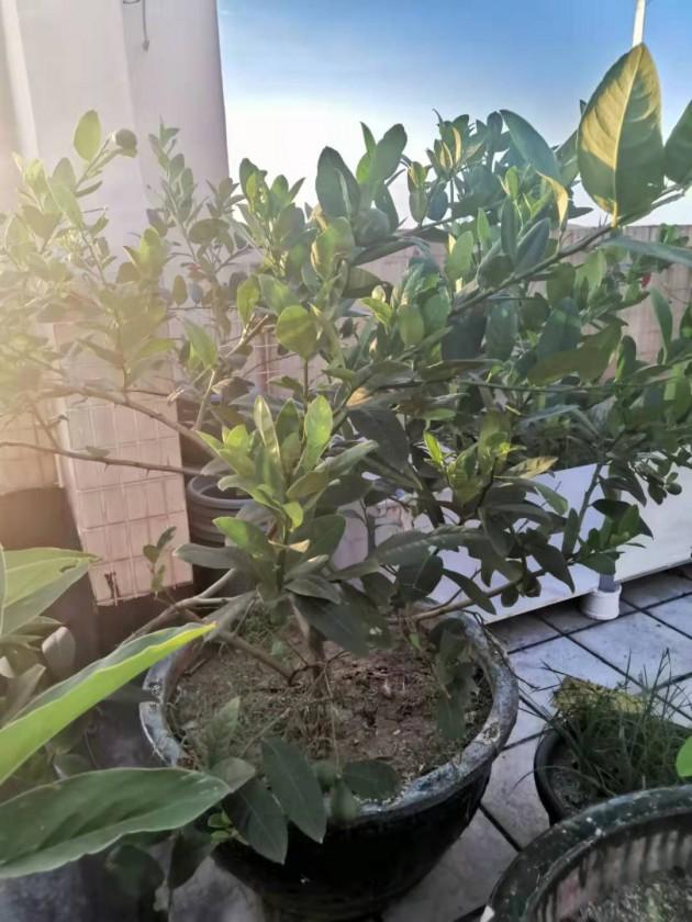 ΢��ͼƬ_20190924144424.jpg