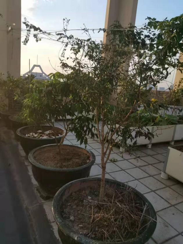 ΢��ͼƬ_20190924144437.jpg