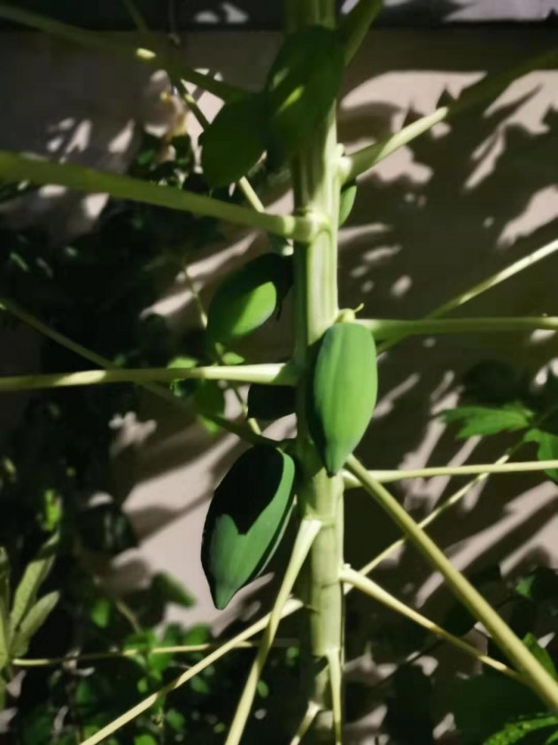 ΢ͼƬ_20190926153039.jpg