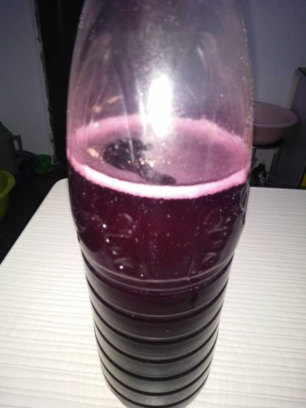 IMG20191003225532.jpg