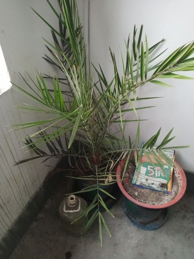 QQͼƬ20191004141617Ҭ.jpg