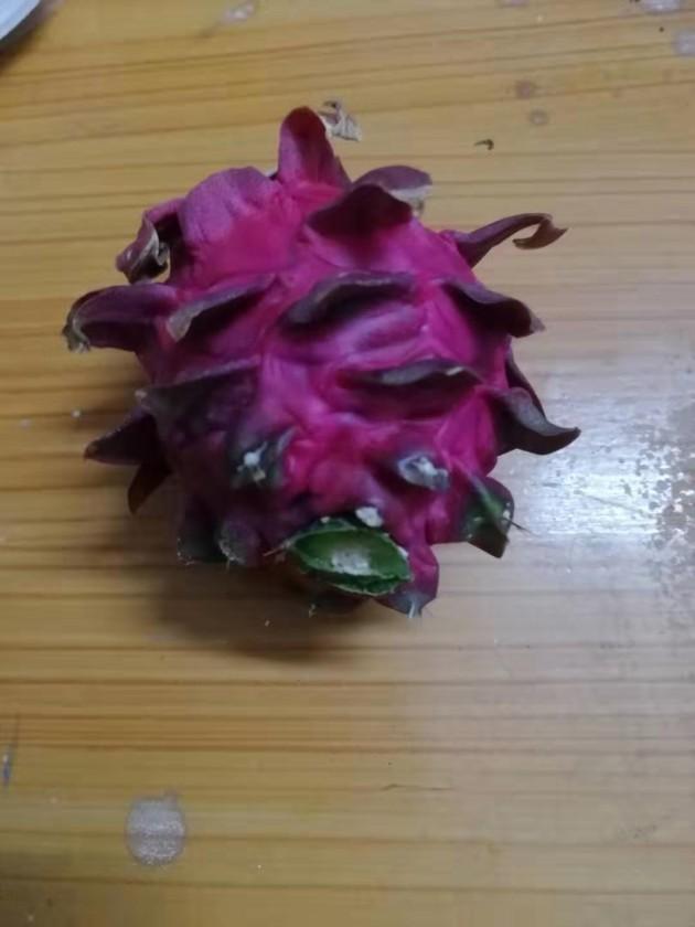 ΢��ͼƬ_20191007223224.jpg
