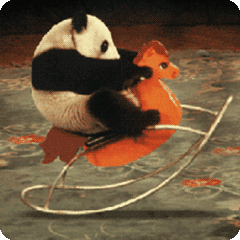 f360217c4892d2704ef5af39f8c1c79e.gif