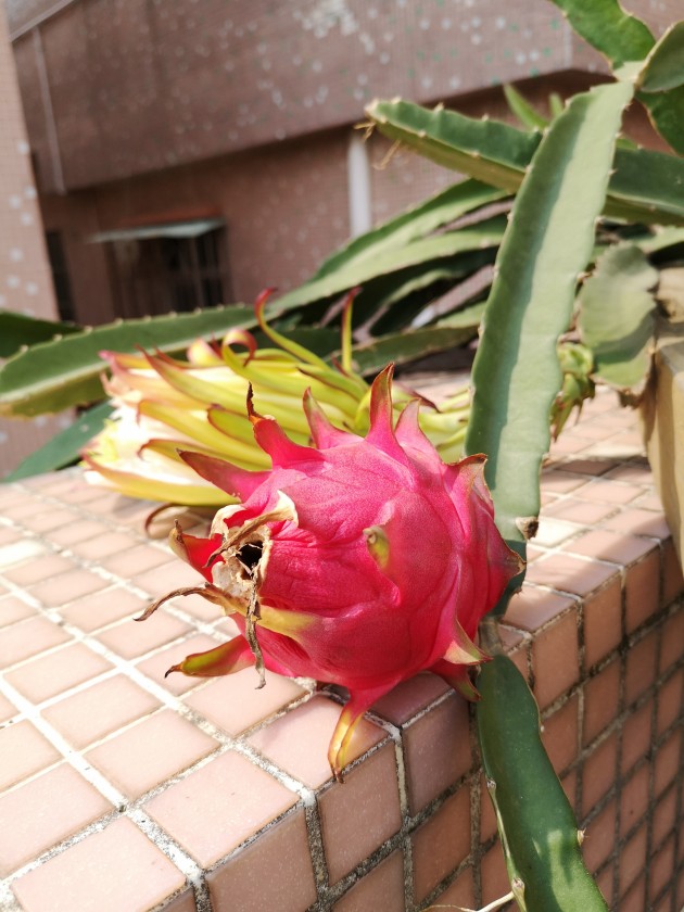 IMG_20191006_101437.jpg