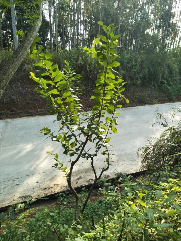 IMG20191009155407.jpg