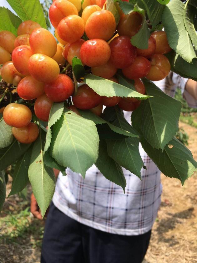 ΢��ͼƬ_20190517154806.jpg